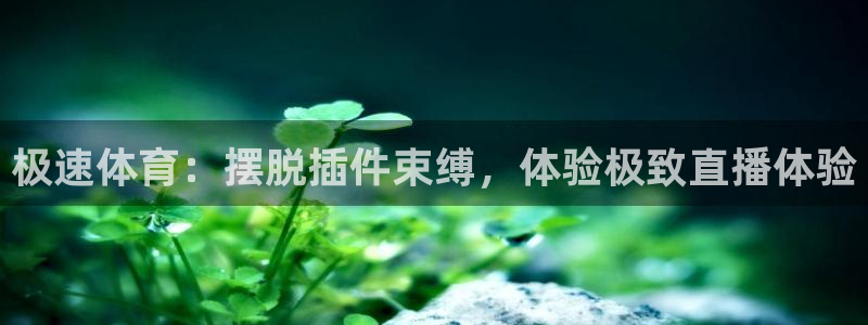 极速体育：摆脱插件束缚，体验极致直播体验