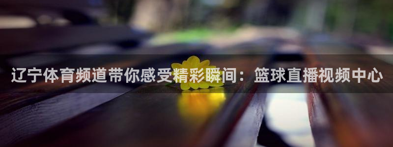 辽宁体育频道带你感受精彩瞬间：篮球直播视频中心