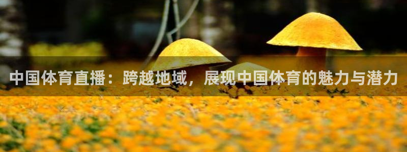 中国体育直播：跨越地域，展现中国体育的魅力与潜力