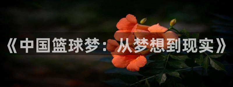 《中国篮球梦：从梦想到现实》