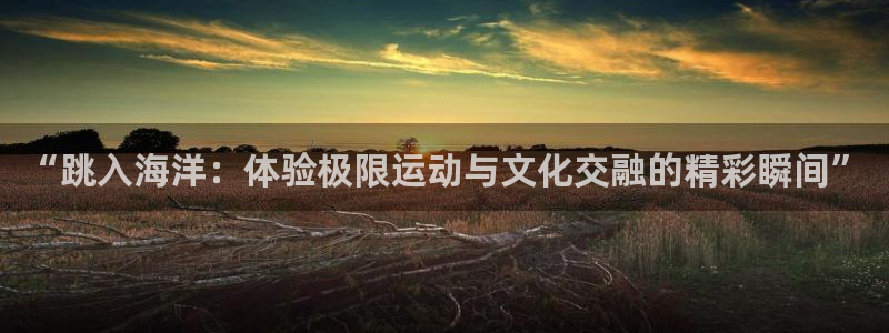 “跳入海洋：体验极限运动与文化交融的精彩瞬间”