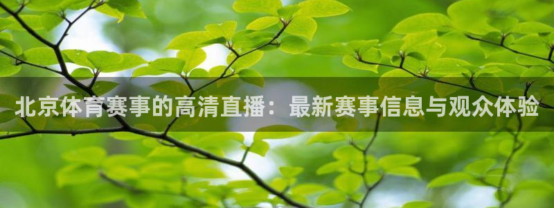 北京体育赛事的高清直播：最新赛事信息与观众体验