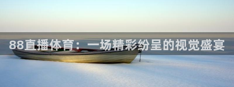 88直播体育：一场精彩纷呈的视觉盛宴