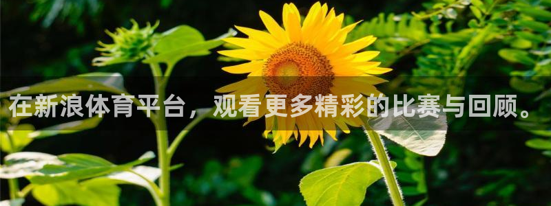 在新浪体育平台，观看更多精彩的比赛与回顾。