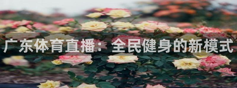 广东体育直播：全民健身的新模式
