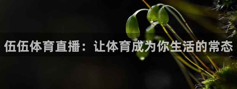 伍伍体育直播：让体育成为你生活的常态