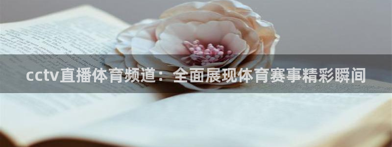 cctv直播体育频道：全面展现体育赛事精彩瞬间